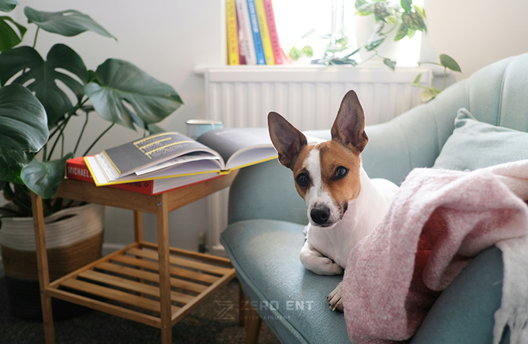 ���� ���� ���� ��Ʃ��� ����